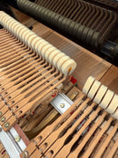 Grand Piano C7 2 1971