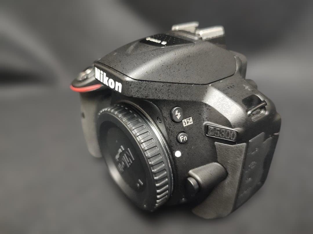 Nikon Digital Slrs D5300 18-140Mmvr