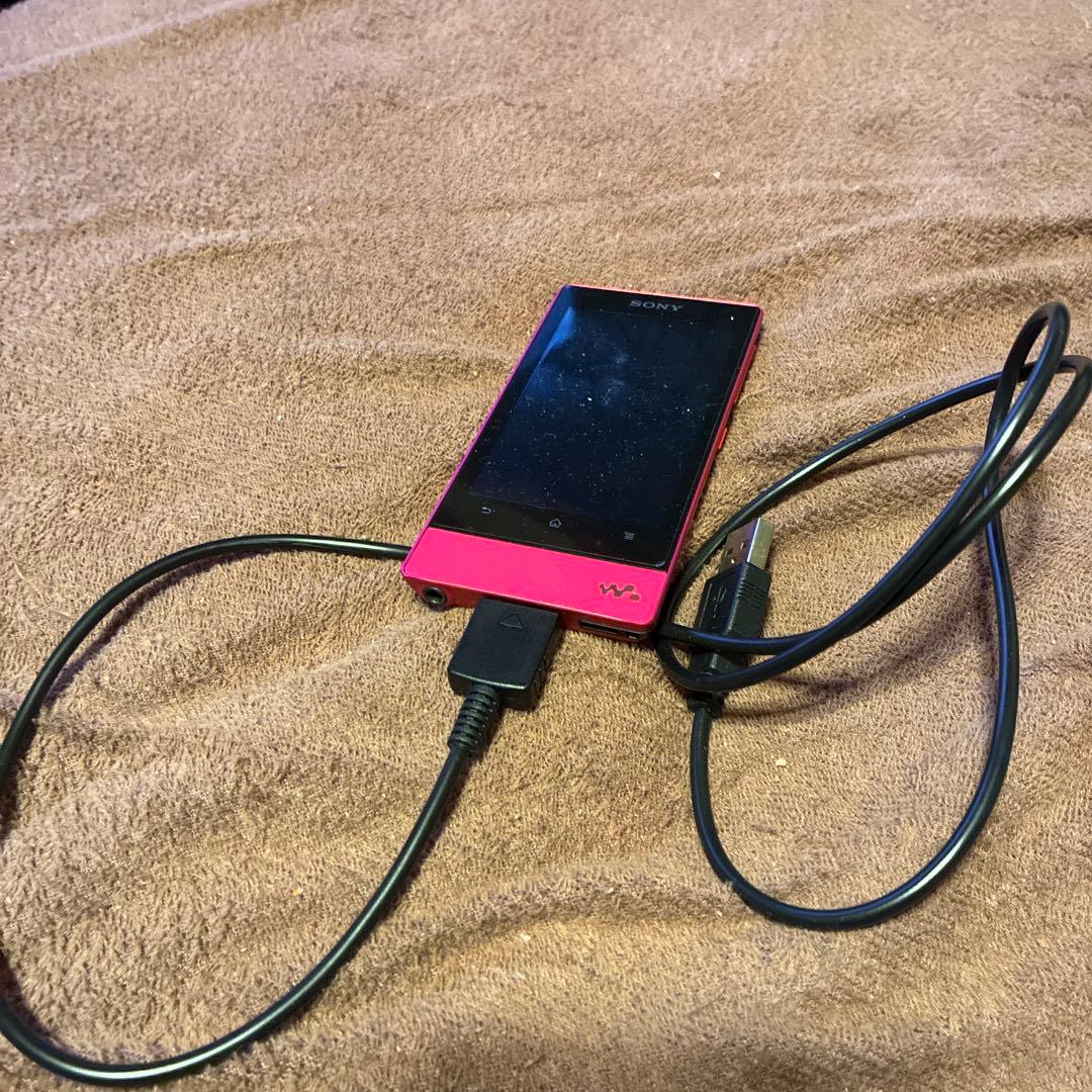 Sony Digital Audio Player