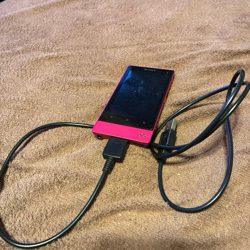 Sony Digital Audio Player