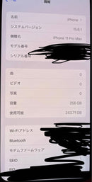 Apple Smartphones Mobile Phones Iphone 11 Pro Max 256 Gb