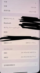 Apple Smartphones Mobile Phones Iphone 11 Pro Max 256 Gb