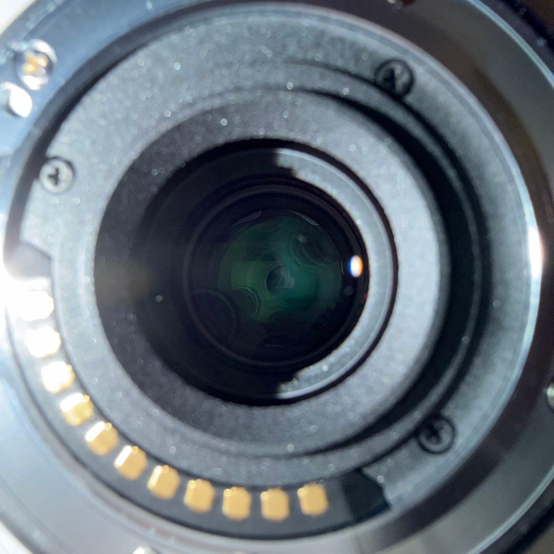 Panasonic Prime Lenses Leica Dg Macro-Elmarit