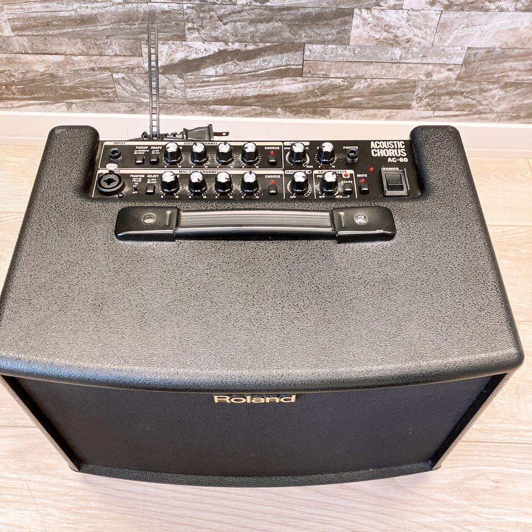 Roland Guitar Amplifiers Ac-60 Acoustic Chorus