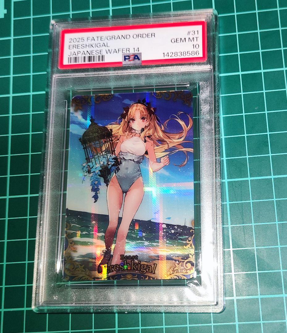 Others Fgo Psa10