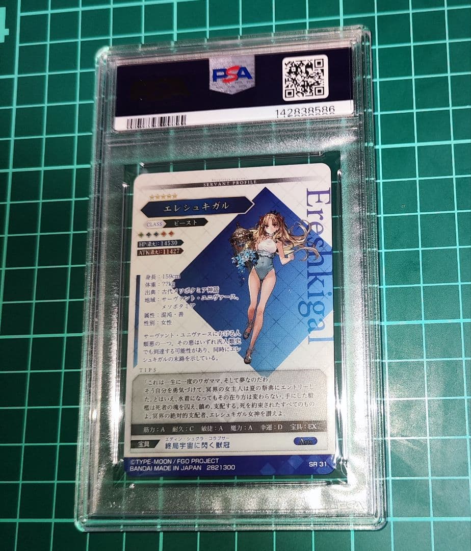 Others Fgo Psa10