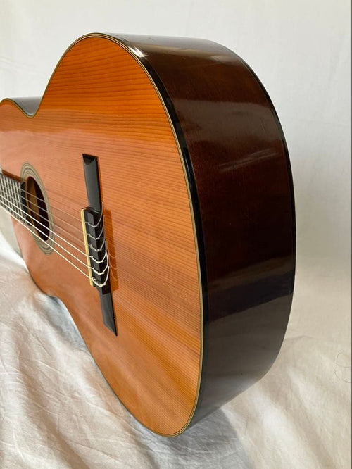 Yamaha Classical Guitars No.G-60