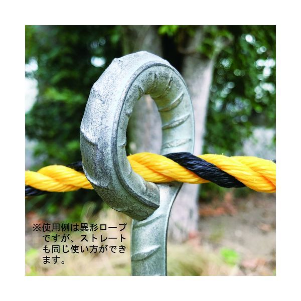 Others 7 00044376 100 6X100
