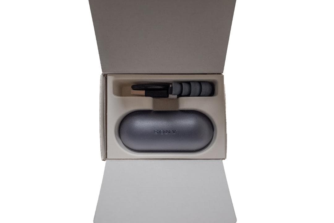 Wireless Earphones Sony Wf-C500
