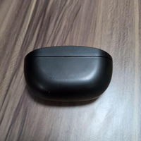 Sony Wireless Earphone Wf-Sp800N