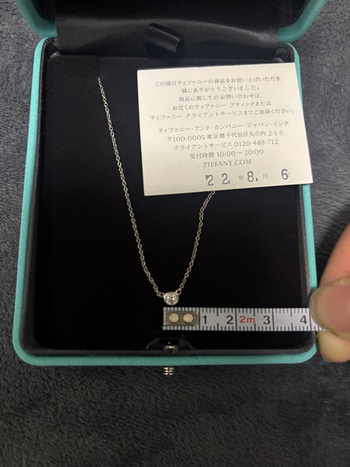 Tiffany Necklaces