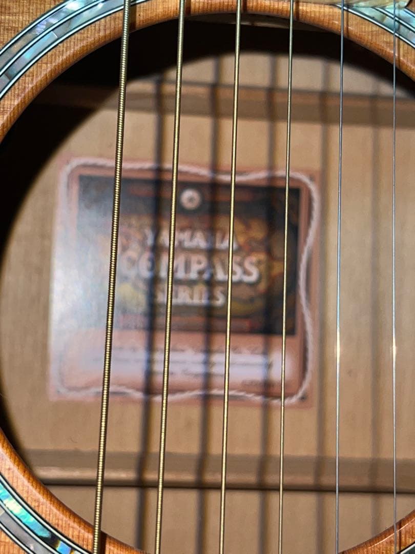 Yamaha Acoustic Guitars Compass Series Cpx-8