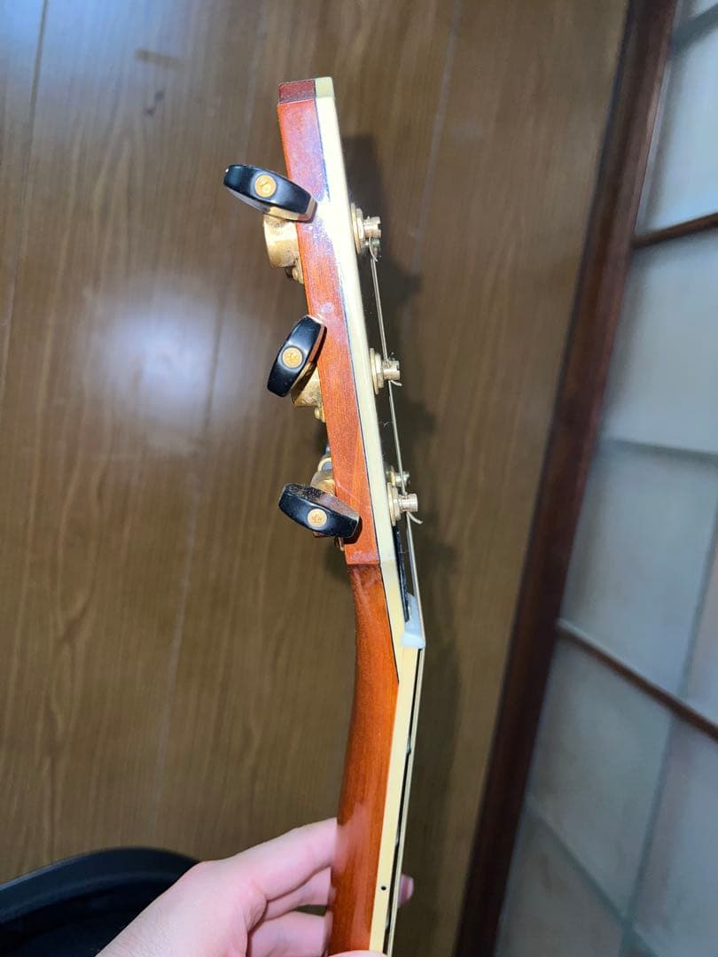Yamaha Acoustic Guitars Compass Series Cpx-8