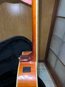 Yamaha Acoustic Guitars Compass Series Cpx-8