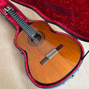 Classical Guitar 44