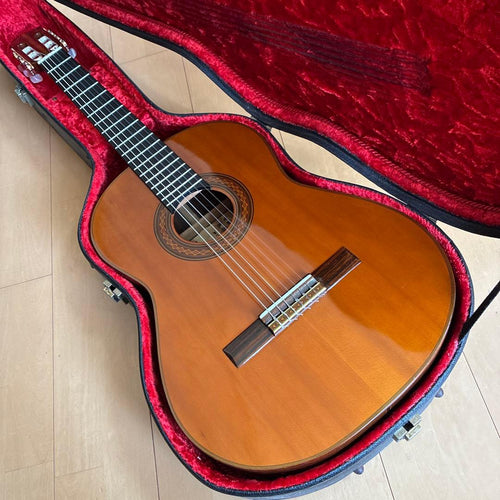 Classical Guitar 44