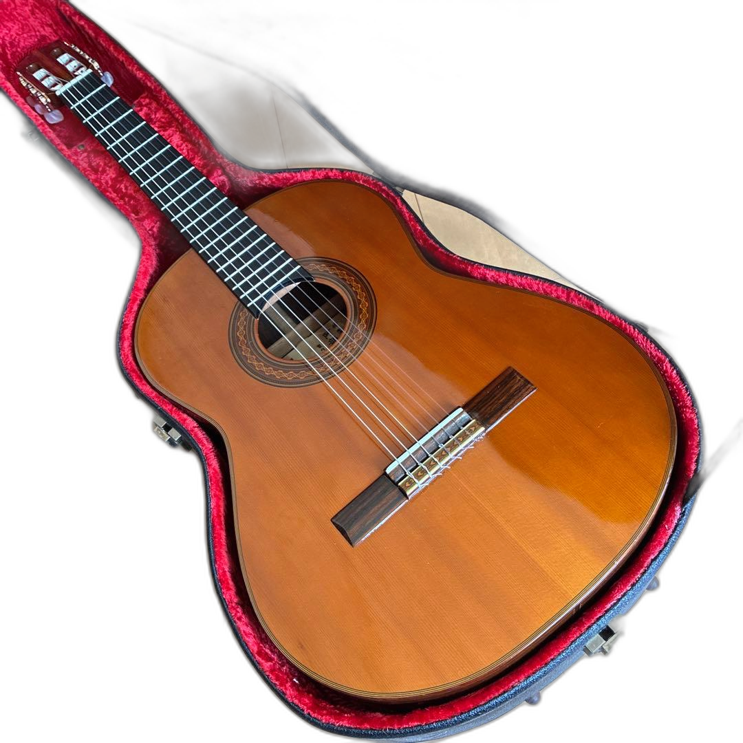 Classical Guitar 44