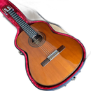 Classical Guitar 44