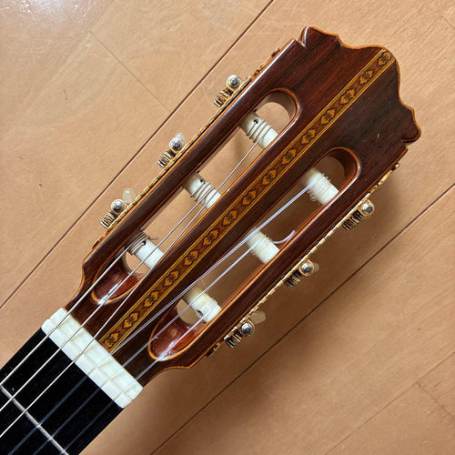 Classical Guitar 44