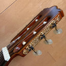 Classical Guitar 44