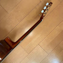 Classical Guitar 44