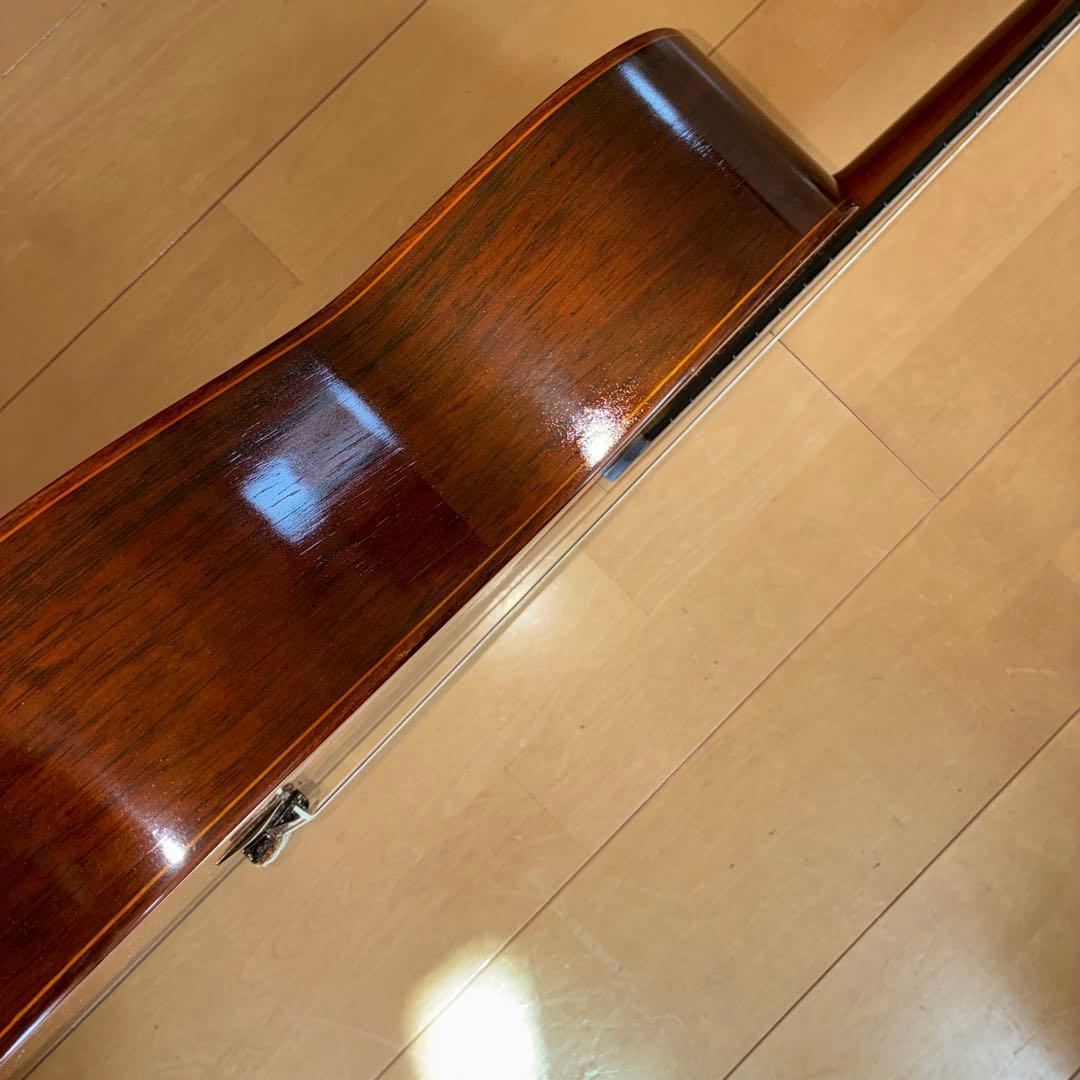 Classical Guitar 44