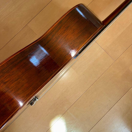 Classical Guitar 44