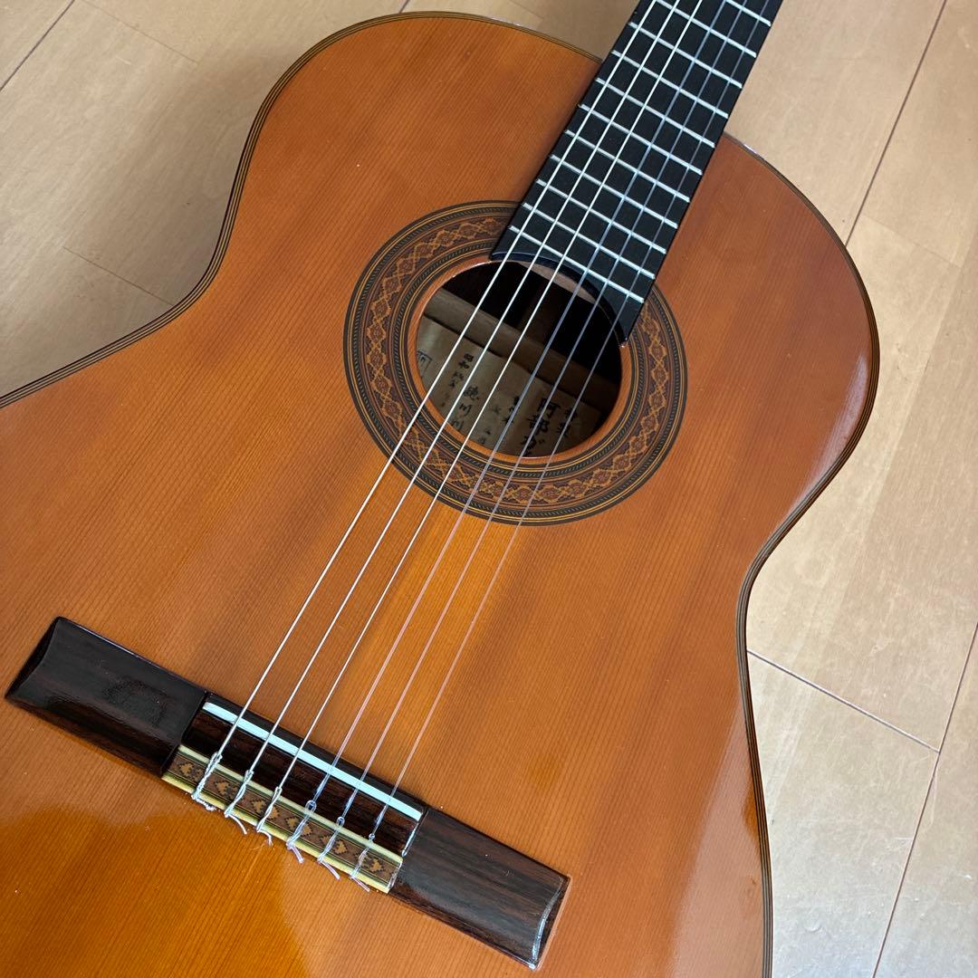 Classical Guitar 44