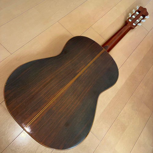 Classical Guitar 44