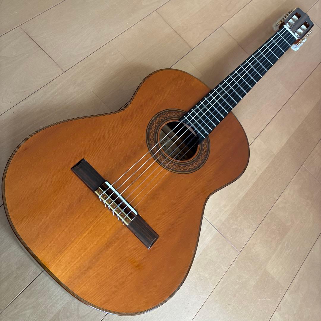 Classical Guitar 44