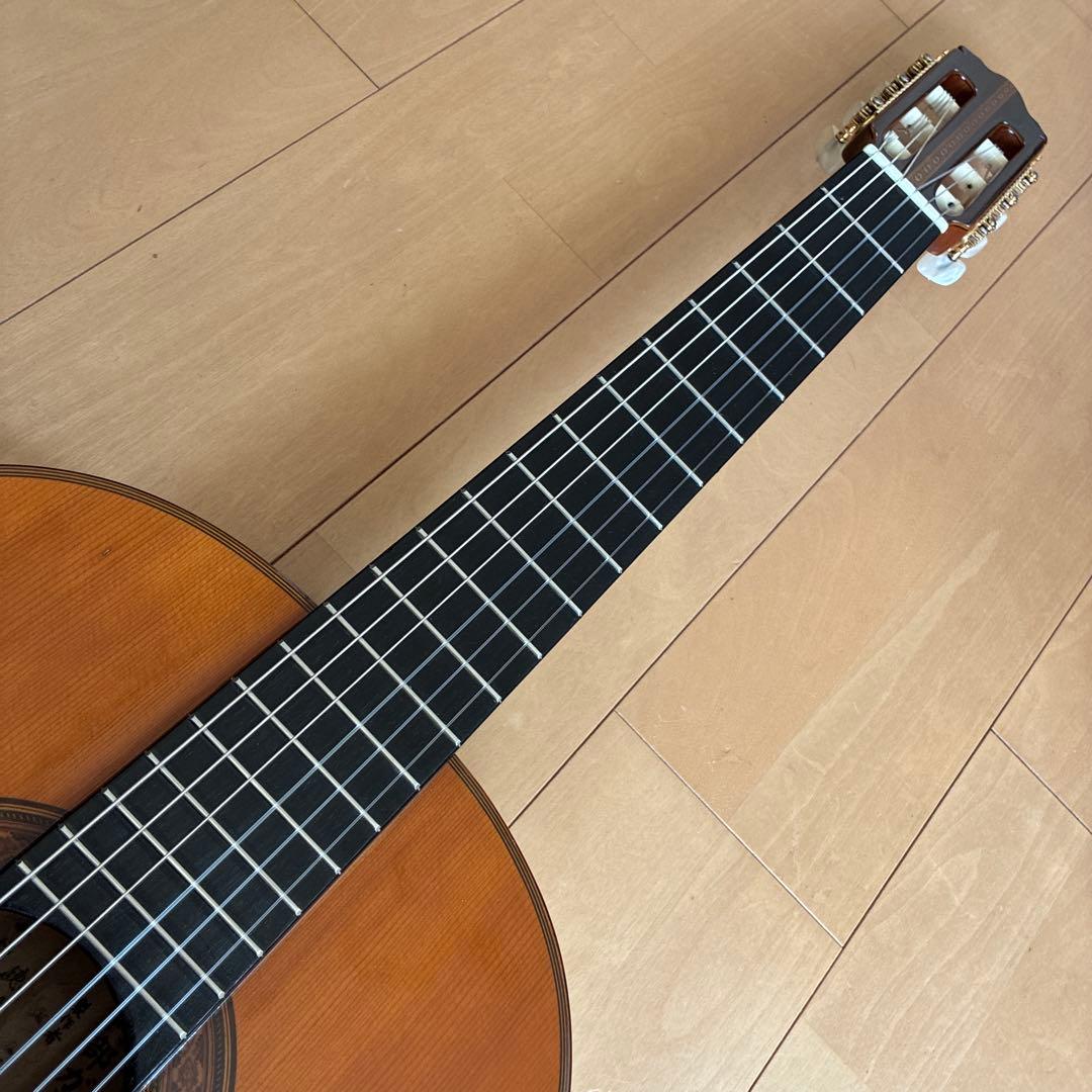 Classical Guitar 44