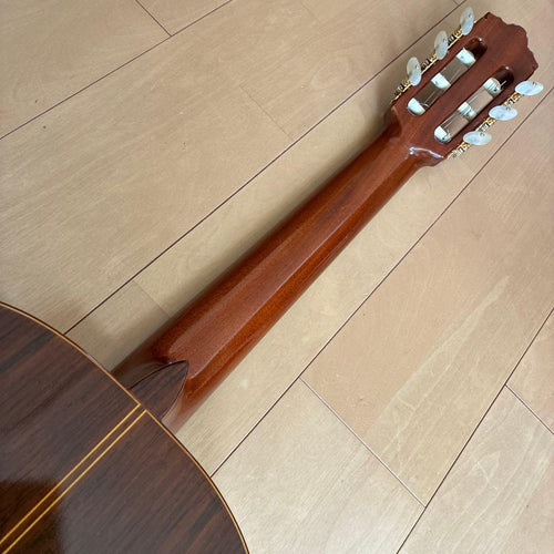 Classical Guitar 44