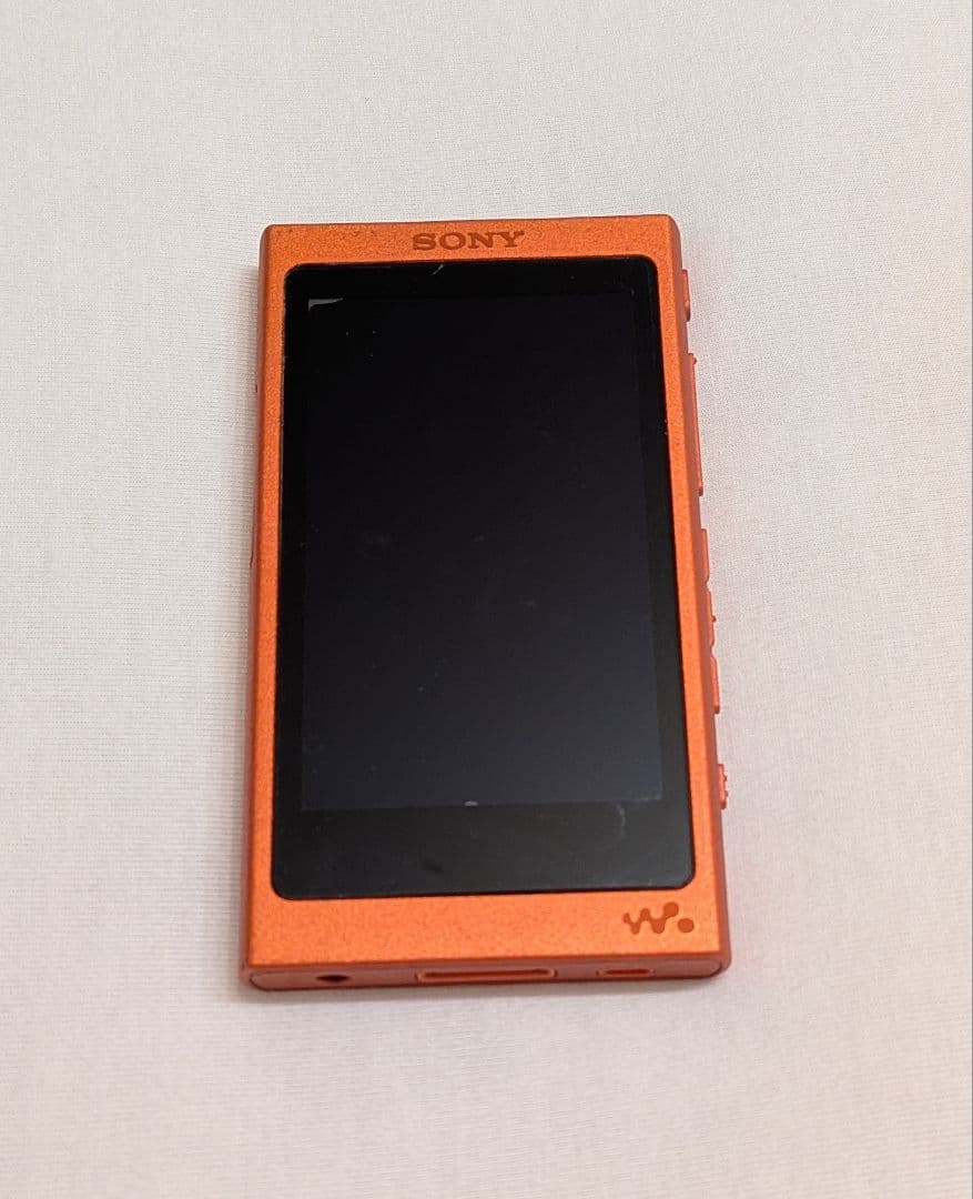 Sony Digital Audio Players Walkman Nw-A45 Sd