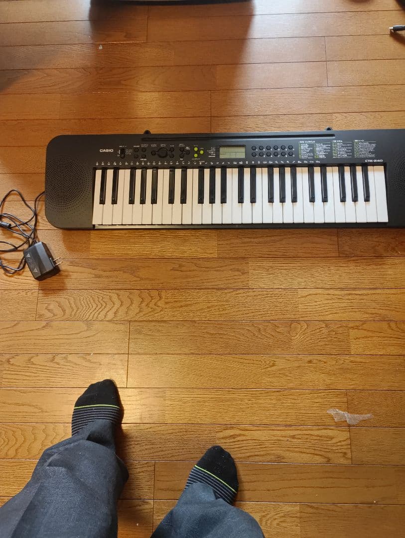 Casio Keyboard Electronic Piano 50 100