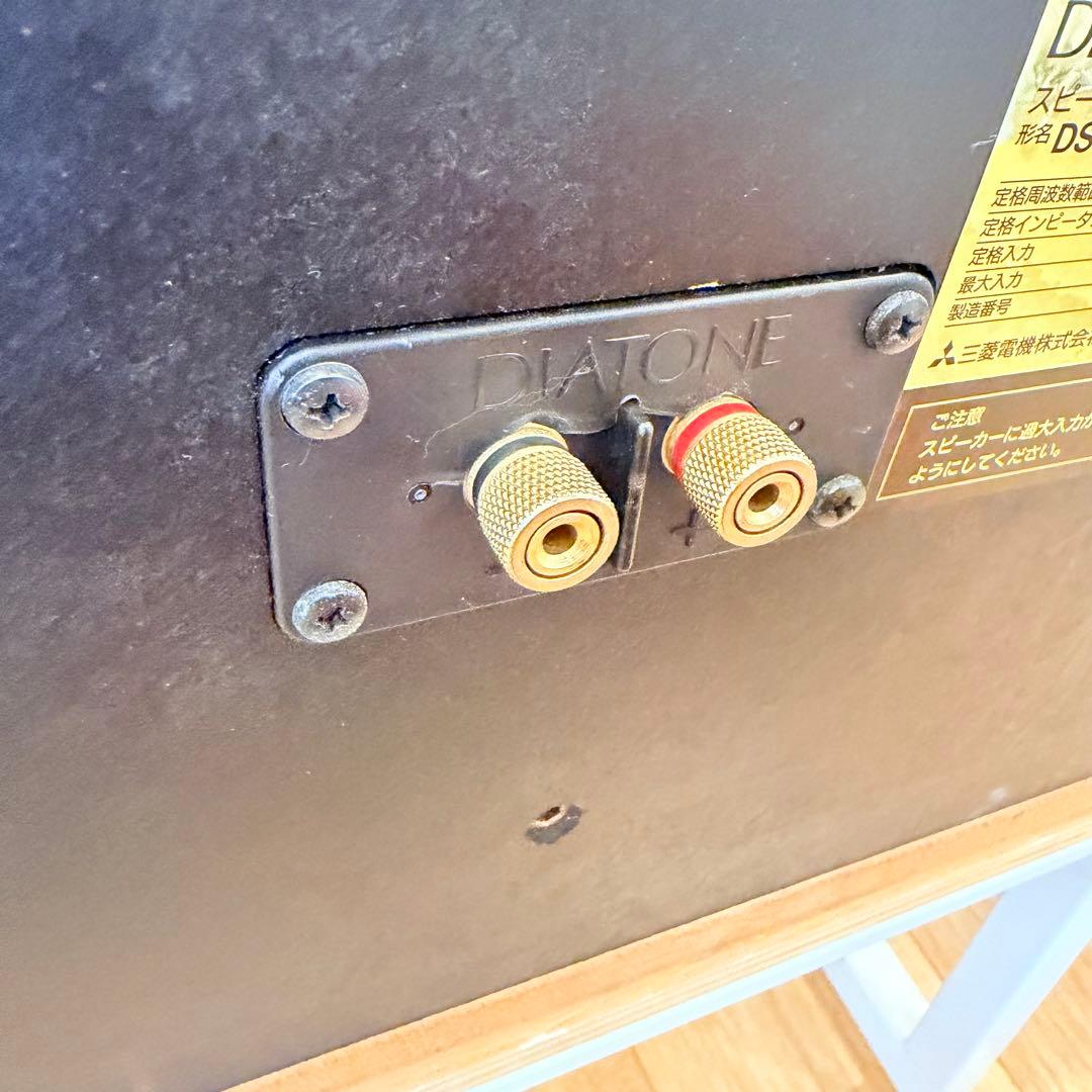 Center Speakers Diatone Ds-C1000Zv