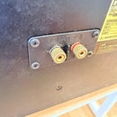 Center Speakers Diatone Ds-C1000Zv
