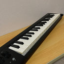 Korg Midi Keyboard Pad Microkey 37
