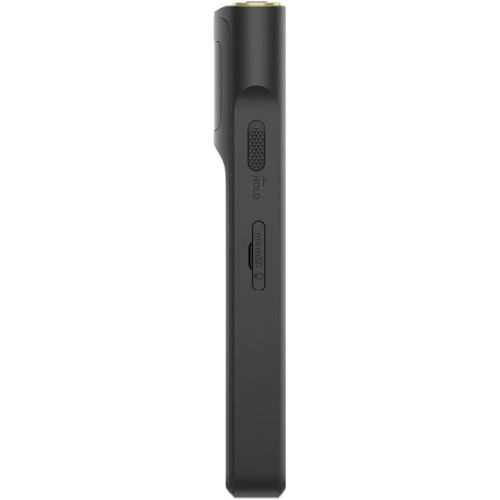 Sony Digital Audio Player Nw-Wm1Am2 Wm1 128Gb