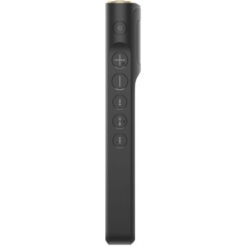 Sony Digital Audio Player Nw-Wm1Am2 Wm1 128Gb