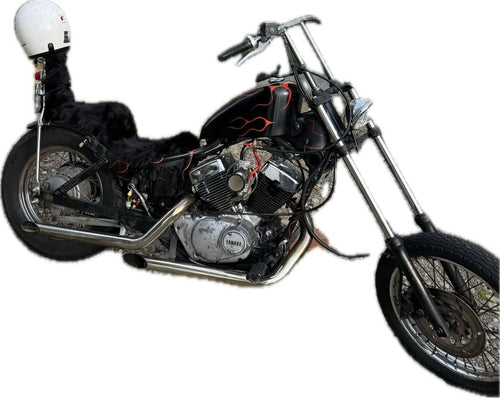 Yamaha Motorcycle Body 250 1