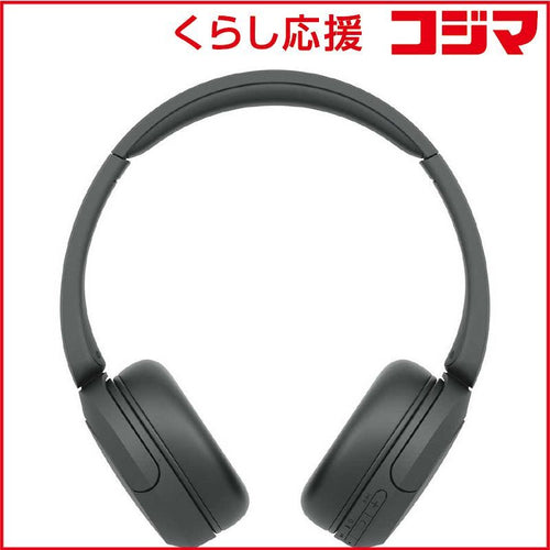 Sony Others /Bluetooth Wh-Ch520 Bz