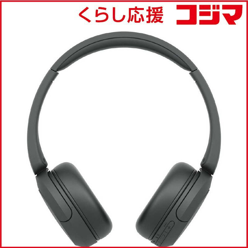 Sony Others /Bluetooth Wh-Ch520 Bz