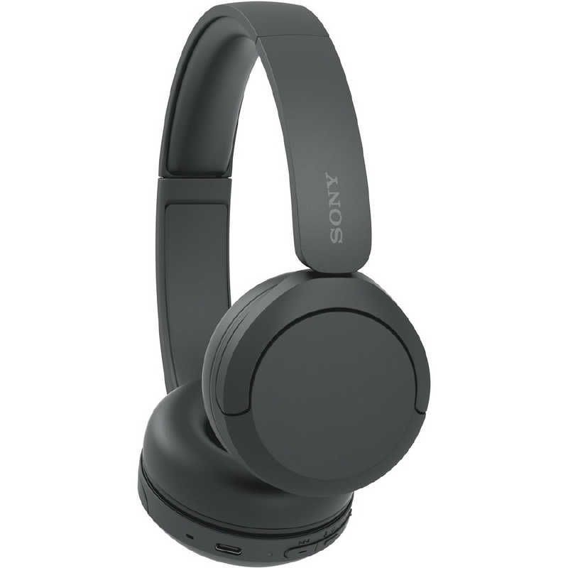 Sony Others /Bluetooth Wh-Ch520 Bz