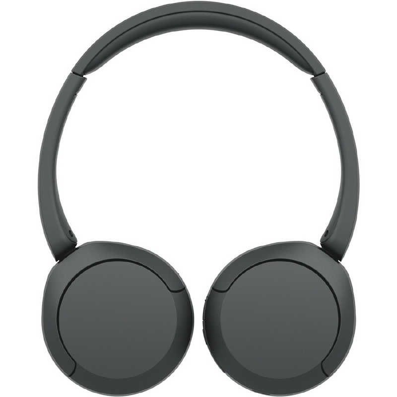 Sony Others /Bluetooth Wh-Ch520 Bz