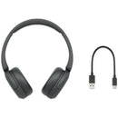 Sony Others /Bluetooth Wh-Ch520 Bz