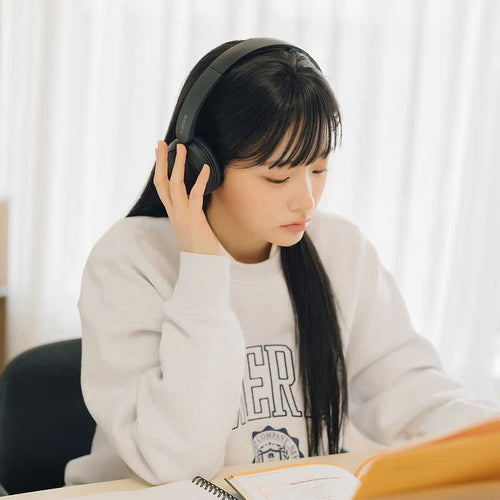 Sony Others /Bluetooth Wh-Ch520 Bz