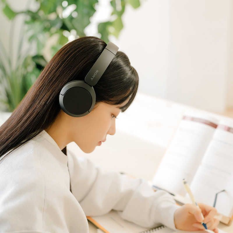 Sony Others /Bluetooth Wh-Ch520 Bz