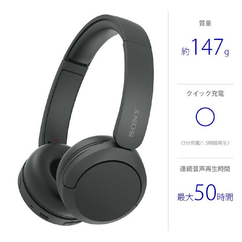 Sony Others /Bluetooth Wh-Ch520 Bz