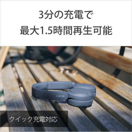 Sony Others /Bluetooth Wh-Ch520 Bz