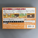 Gameboy Advance Games